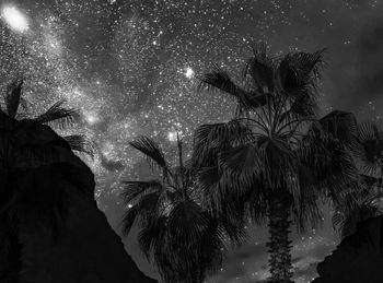 Low angle view of silhouette palm trees against sky at night