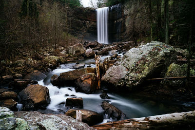 Stream flowing through rocks in forest