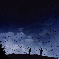 Low angle view of birds flying in sky