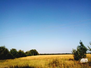 Scenic view of field against clear blue sky