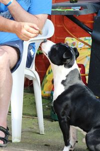 Midsection of man with dog sitting on street