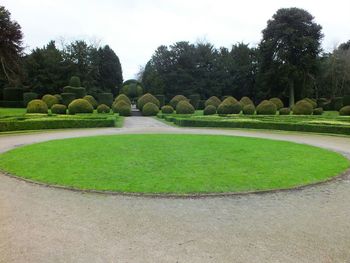Trees growing on landscape