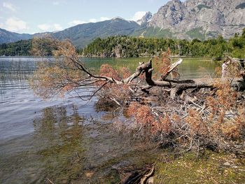 Scenic view of lake with mountains in background