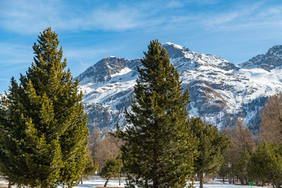 Silvaplana, switzerland, february 21, 2023 beautiful winter panorama at the lake of silvaplana