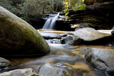 Scenic view of waterfall in forest