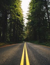 Road amidst trees against sky