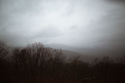 Silhouette trees on mountain against sky