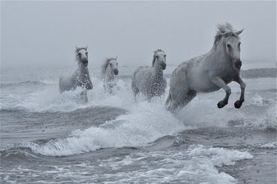 Water splashing in sea against sky