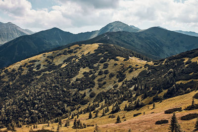 Tatra mountains landscape. scenic view of mountain rocky peaks, slopes, hills and valleys