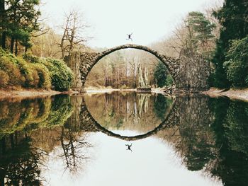 Reflection of trees in water
