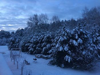 Trees on snow covered landscape against sky