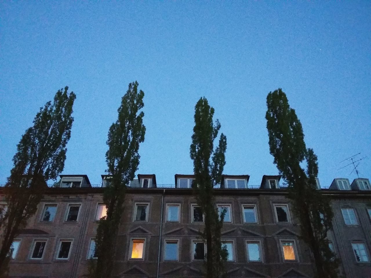 residential building behind poplars. · Munich München germany buildings Architecture urban landscape poplar Trees trees and sky tree crowns dusk nightfall blue Light apartment lights