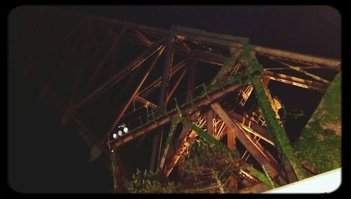 View of trees at night