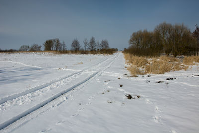 Snow-covered country road and bushes, winter view