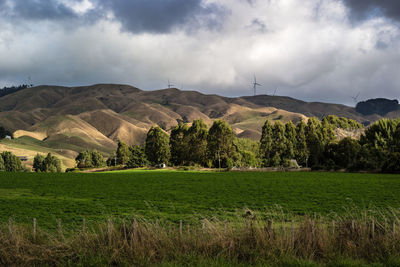 Scenic view of field against sky