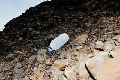 High angle view of rock on land