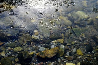 Full frame shot of water