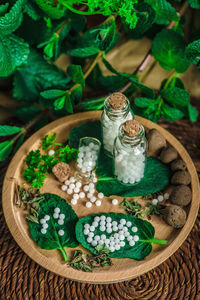 Close-up of herbs and homeopathic medicine in tray on table