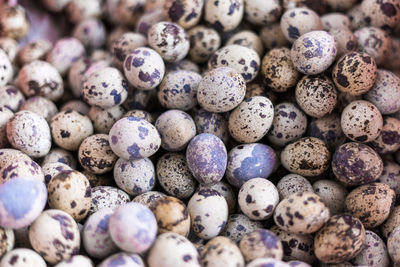 Full frame shot of quail eggs