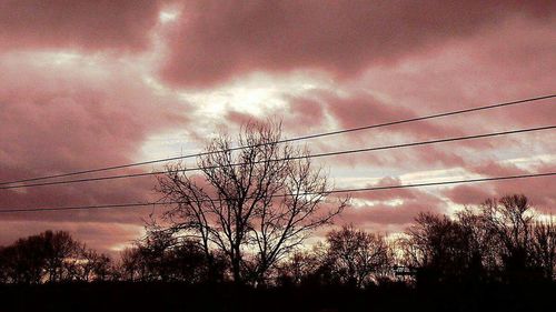 Low angle view of silhouette trees against sky