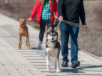 Low section of people walking on footpath