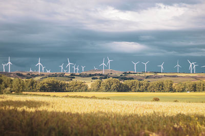 Windmills on field against sky