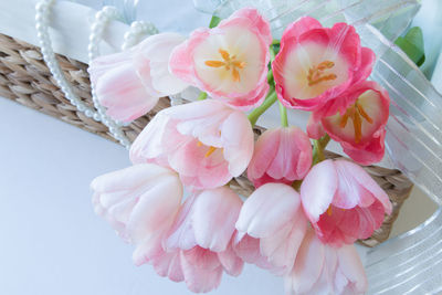 Close-up of fresh pink flowers