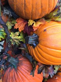 Close-up of pumpkins on autumn leaves