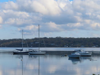 Sailboats in marina