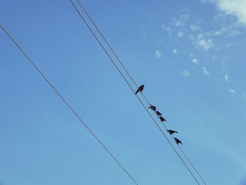 Low angle view of power lines against blue sky