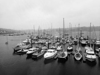 Sailboats moored in harbor against sky