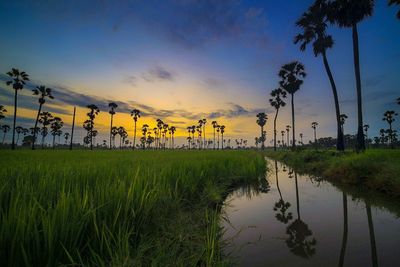 Scenic view of lake against sky during sunset