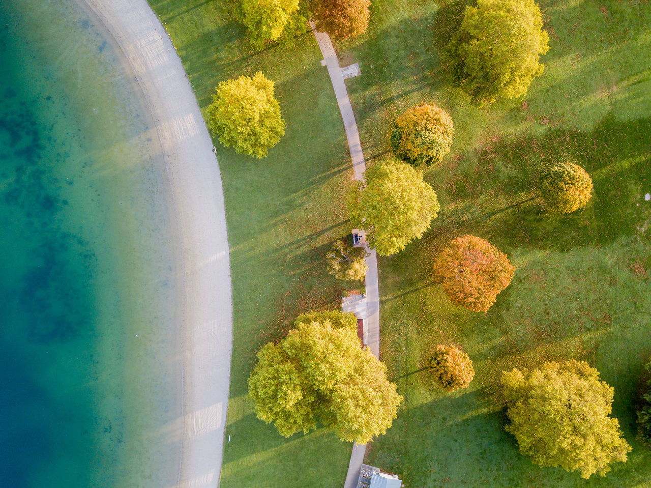 HIGH ANGLE VIEW OF FLOWERING PLANTS AND LAWN