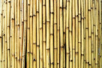 Old brown tone bamboo simple wall or bamboo fence texture background for  design vintage tone. 