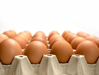 Close-up of eggs against white background