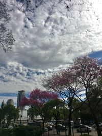 Trees in park against cloudy sky