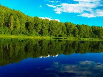 Scenic view of lake by trees in forest against sky