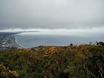 Scenic view of sea and cityscape against sky