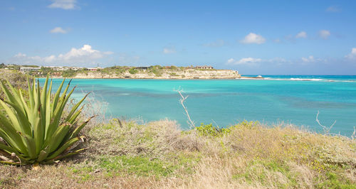 Scenic view of beach