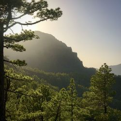 Scenic view of mountains against clear sky