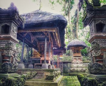 Trees in front of temple