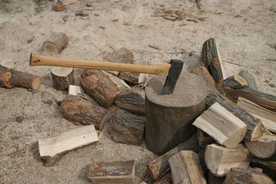High angle view of wood on log