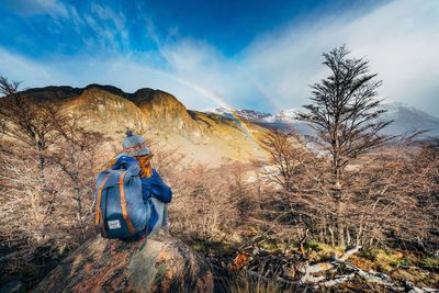 Full length of bare trees on mountain against blue sky