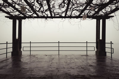 Scenic view of bare tree against sky during winter