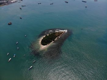 High angle view of boats on sea shore