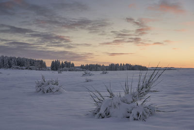 Scenic view of snow covered field against sky during sunset