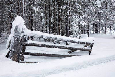 Snow covered bench by trees on field during winter
