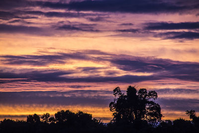 Low angle view of silhouette trees against dramatic sky