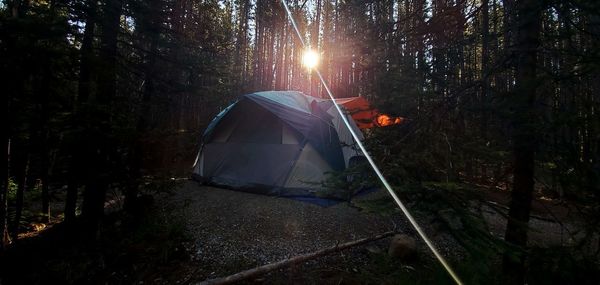 View of tent in forest against bright sun