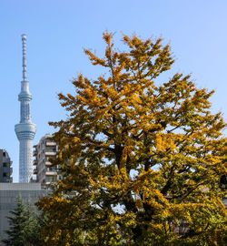 Low angle view of tower